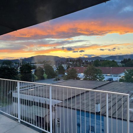 Luxusapartment Mit 40 Qm Terrasse, E-Parkplatz Und Parkplatz Graz Eksteriør bilde
