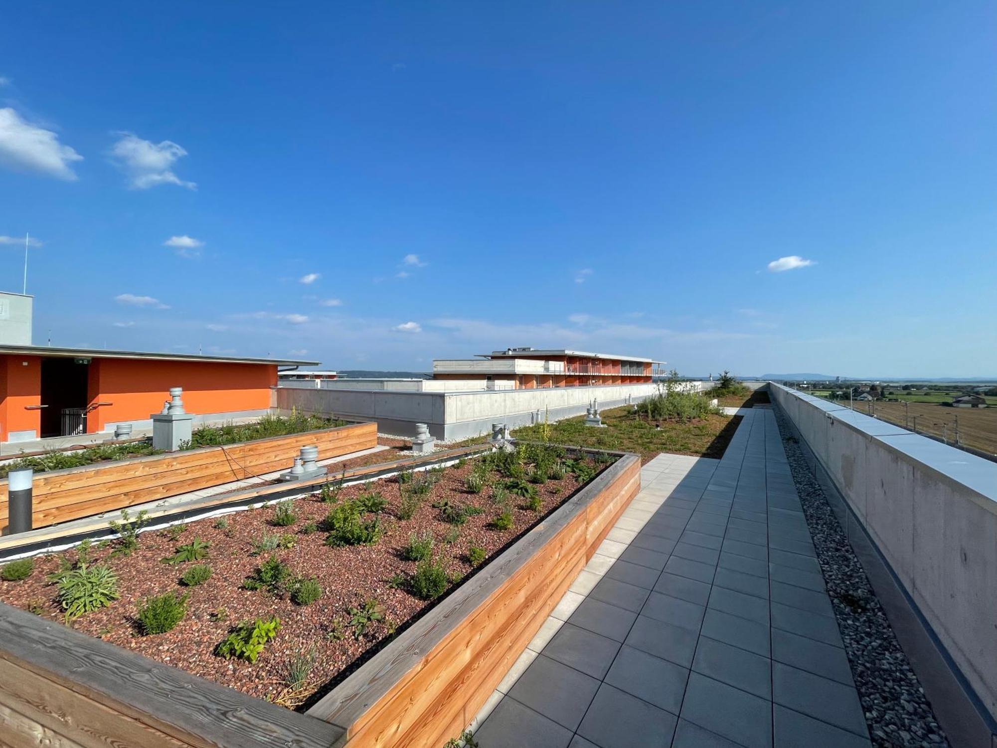 Luxusapartment Mit 40 Qm Terrasse, E-Parkplatz Und Parkplatz Graz Eksteriør bilde